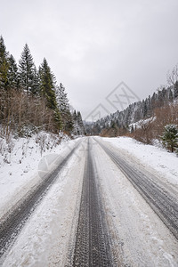 冬季道路和有雪覆盖的fir树冬季地貌及天空户外图片