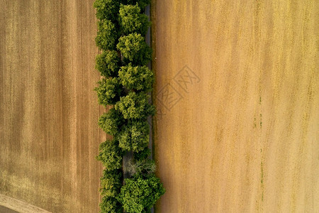 砖草原伐木田的空中视图头图片