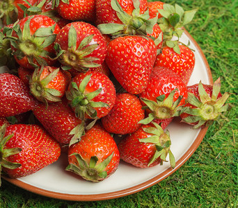 户外盘子里的草莓图片
