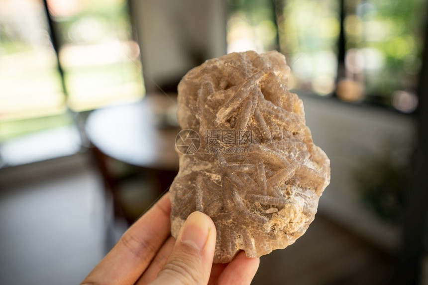 质地自然结石手头上的珊瑚化石图片
