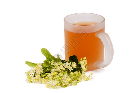 水杯子绿色椴树茶和花图片