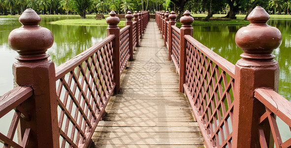 公园木桥旅行穿越沼泽地的木桥山墙外部背景