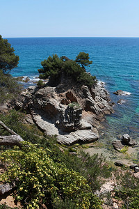悬崖边缘的海景悬崖边缘的陡峭岩石海景夏天英直接地图片