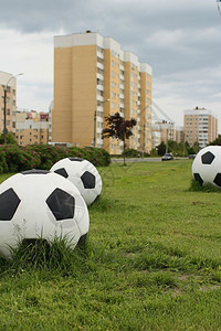 草地白色的绿坪上大足球玩图片