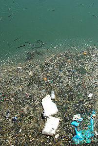 瓶子不良回收河水被污染充满垃圾和一些黑鱼图片