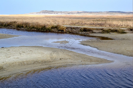 荷兰特克塞尔岛自然保护区DeSlufter沙丘薰衣草侵蚀图片