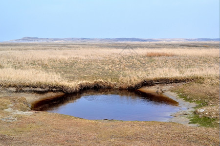 荷兰特克塞尔岛自然保护区DeSlufter场地西方景观图片