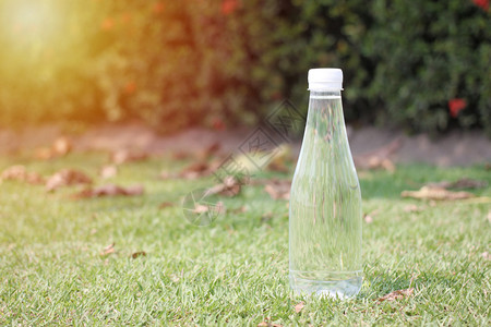 绿色草地将一瓶饮用水放在绿草坪上并有复制空间一种图片