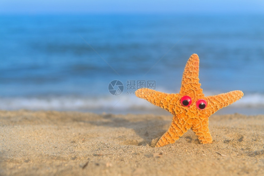 夏天橙维林克海滩上有趣多彩的海星鱼图片