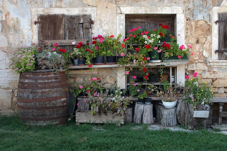 边缘乡村带鲜花的旧房子村庄图片