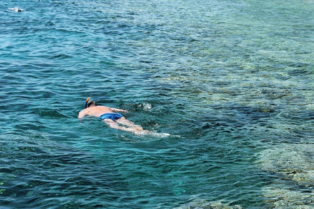 相机游泳女摄影师潜水进入红海热带图片