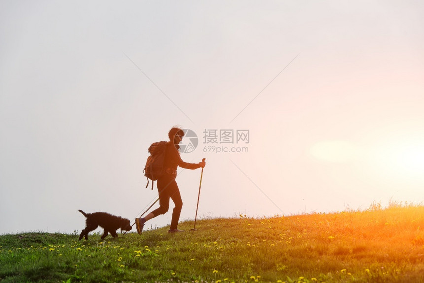 轮廓日落美丽的女孩和他狗在山上散步图片