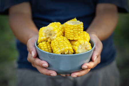 女农手中的蓝碗玉米丰收和财富的概念女农手中的蓝碗玉米食物女蓝色的图片