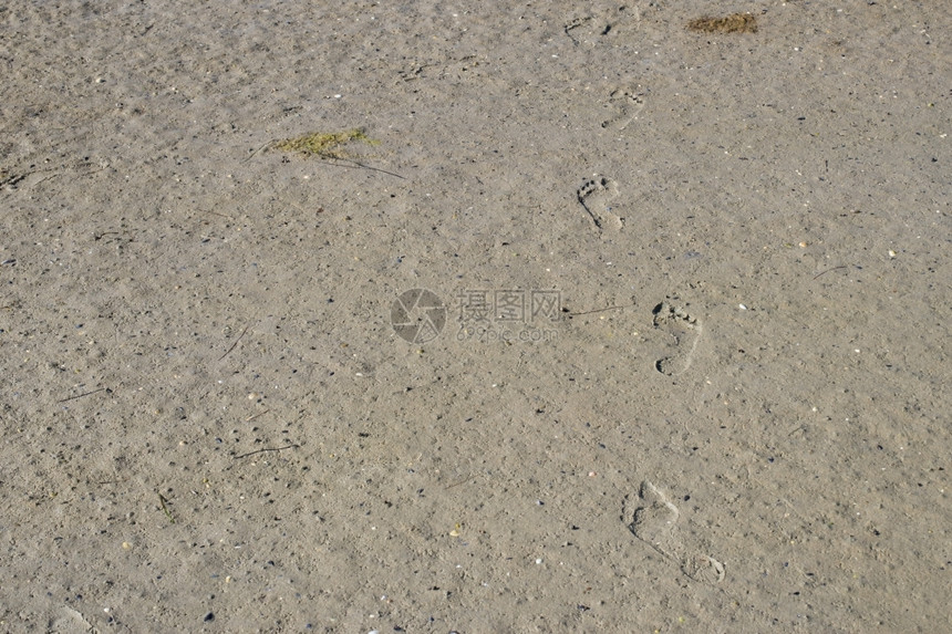泥沙脚足迹一个孩子脚足踏在泥沙的中甚至地平面水的脚步声一种图片