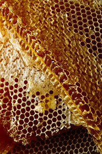 六边形蜂巢健康和饮食概念的草地深度在蜂窝中的蜡蜜新鲜有机几何的图片