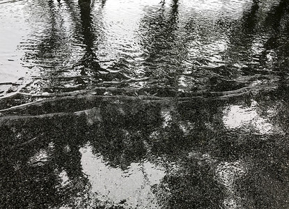 抽象的季风阴影柏油路下雨公园树影反射成图片