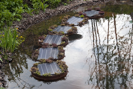 水泵提供能源的花园图片