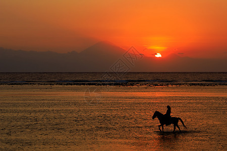 日落时在风景优美的海滩上浅水中骑着马和者的轮椅反射自然景观图片