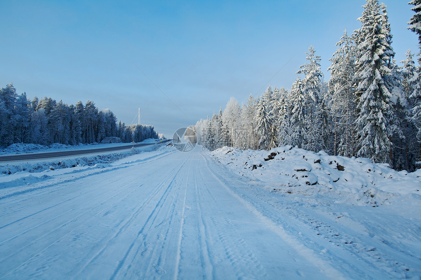 冬季森林雪景中的道路图片