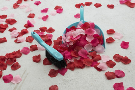 簸箕宴浪漫清扫地板从仿制的红玫瑰花瓣中清洗出来作为婚姻终结建议礼团体设计图片