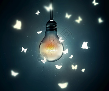 生态创新光亮的灯泡和蝴蝶在光上飞翔辉图片