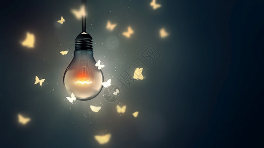 蛾有创造力的光亮灯泡和蝴蝶在光上飞翔成功闪耀设计图片