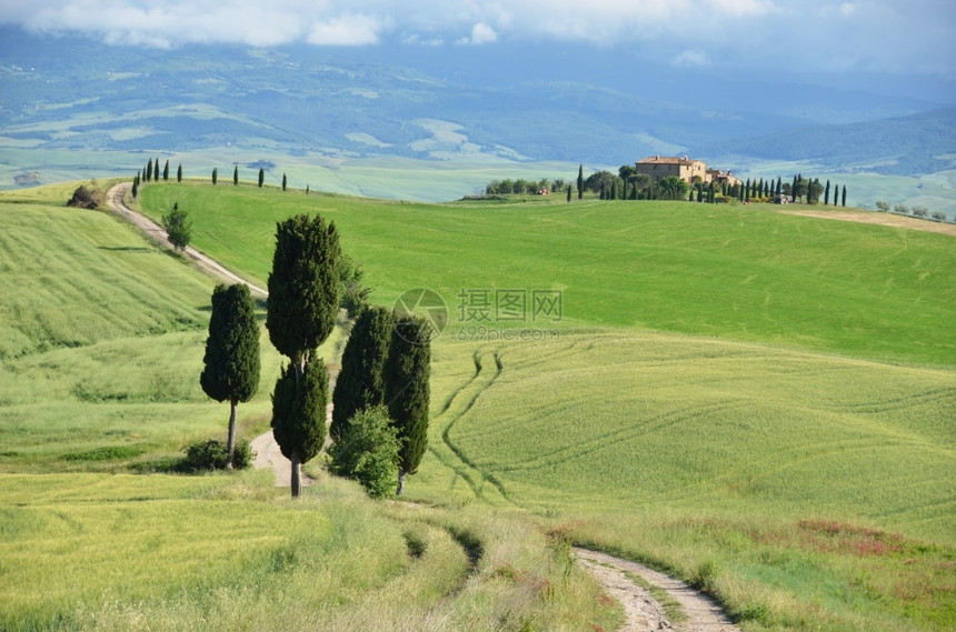 草地农村春天意大利典型的托斯卡纳风景图片