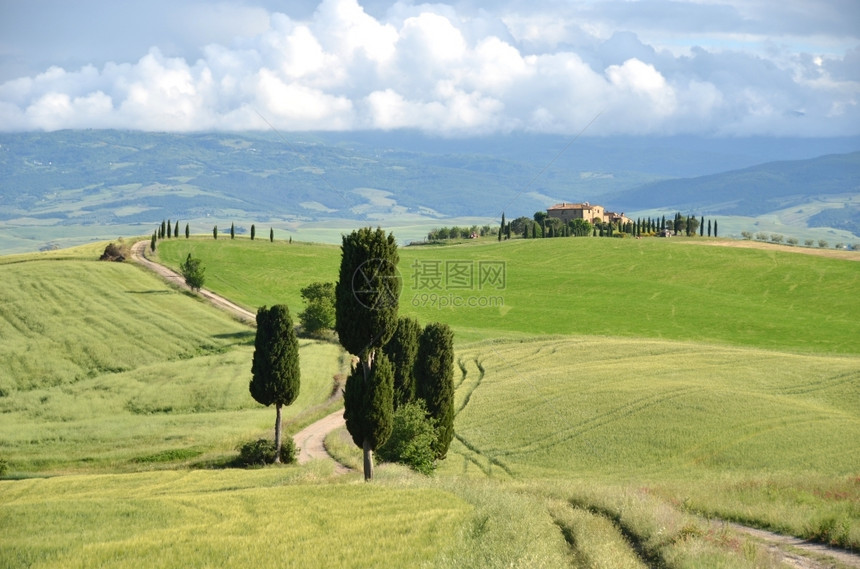 草乡村的意大利典型托斯卡纳风景图片