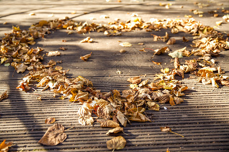 地面上干枯落叶背景图片