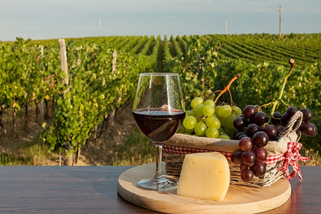 葡萄酒一杯红篮子里有葡萄园前有奶酪葡萄园前有一杯红酒农业颜色图片