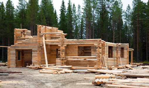 炮楼家森林房屋建筑在树中造一个两层的原木屋背景