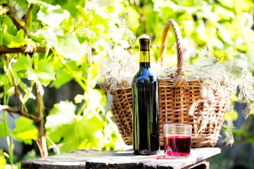 一种在模糊的葡萄叶背景下带着一瓶和杯葡萄酒的静物画带着一瓶和杯葡萄酒的静物画精瓶子图片