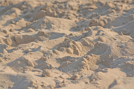 马洛卡西班牙户外桑迪海滩粒子宏观特写背景布料桑迪海滩谷子宏观特写图片