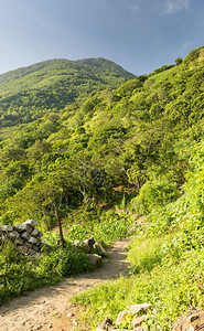 植被危地马拉阿蒂特兰湖上的圣佩德罗火山徒步户外热带图片