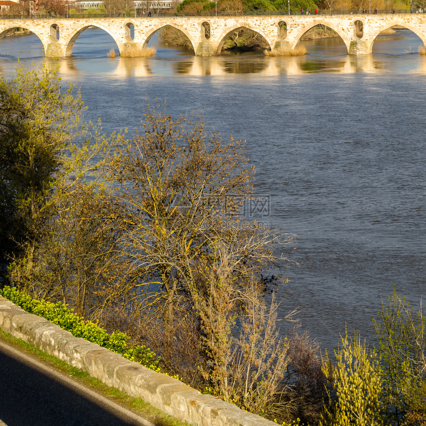 旅游城市的场景西班牙萨莫拉杜伊罗河上中世纪石桥的景象图片