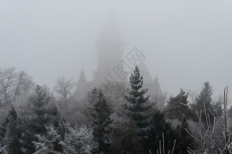 树木在温冬的薄雾中将树变成一座教堂从蒂米索拉到大都会东正教堂雪会图片