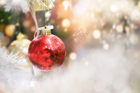 球户外假日和圣诞节后盛光闪耀的舞会挂在松树枝上美丽的图片