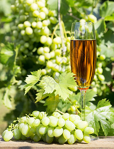 倒了场景玻璃葡萄园背上的一杯酒和串葡萄杯酒和串葡萄图片
