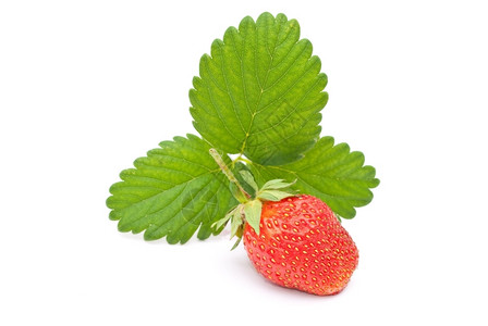 果味维他命绿色叶子的新鲜草莓果食用图片