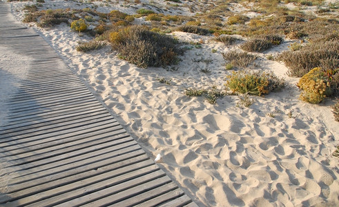 沙洲宁静海滨带草丘到滩的步行道照片图片