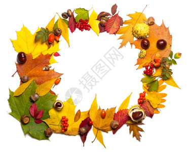 秋季元素装饰画背景图片