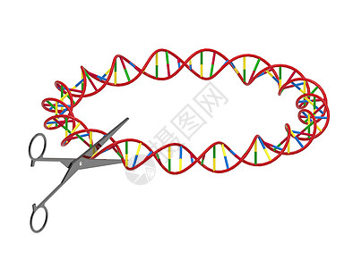 基因切DNA链的剪刀遗传工程3D转化白隔绝遗传上研究图片