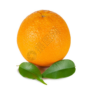 绿色自然素食主义者橙色有两叶绿白底隔离在色背景上图片
