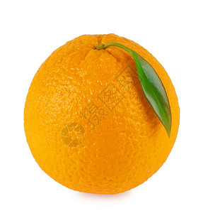 叶子柑橘橙色成熟的橘子白底叶片分离图片