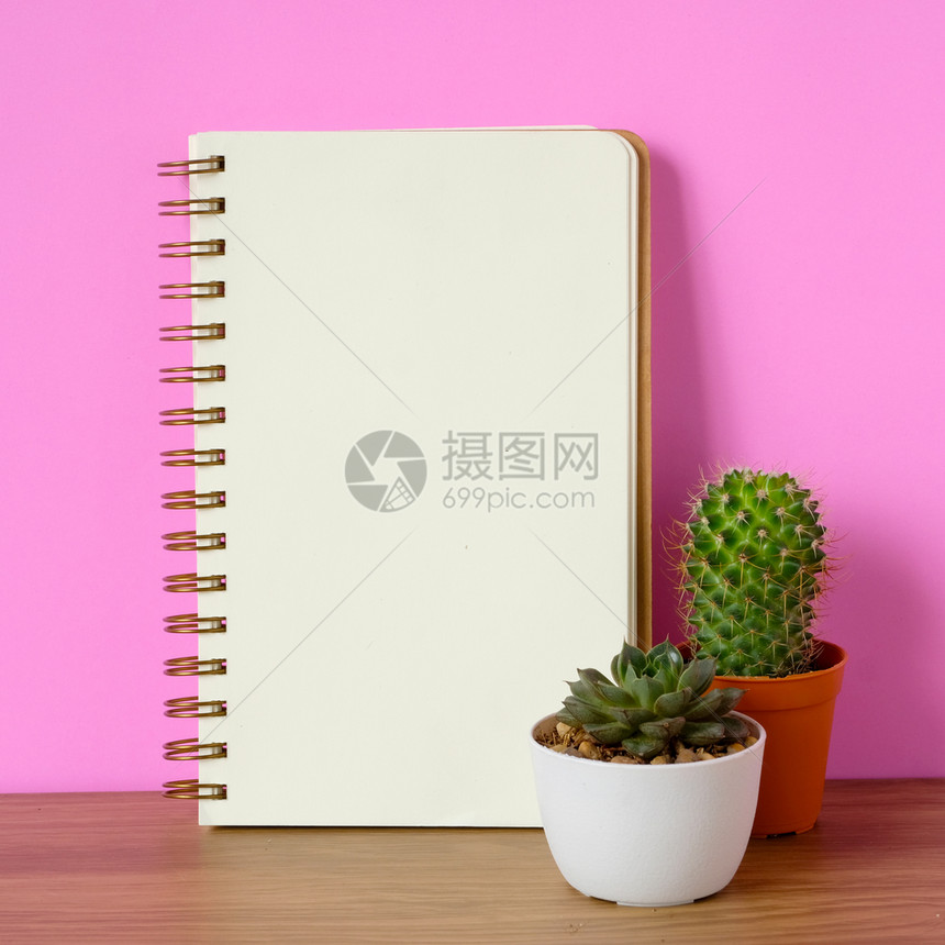 刺记事本空白的Cactussucculent植物和木桌粉红色背景的空白笔记纸沙漠种植潮动设计背景概念图片