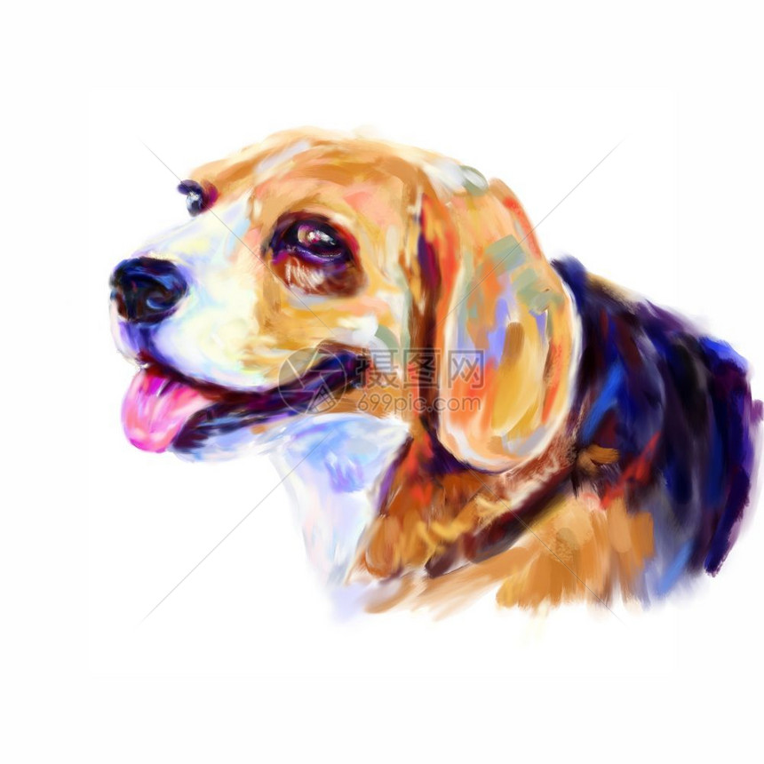 动物白色背景的Beagle狗数码画像肖手工友好图片