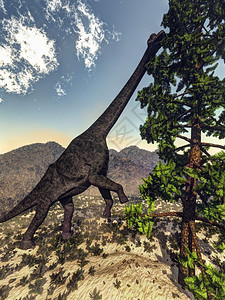 沃洛米亚腕龙恐白天吃wollomia松3D渲染腕龙恐吃渲染自然草食动物脊椎设计图片