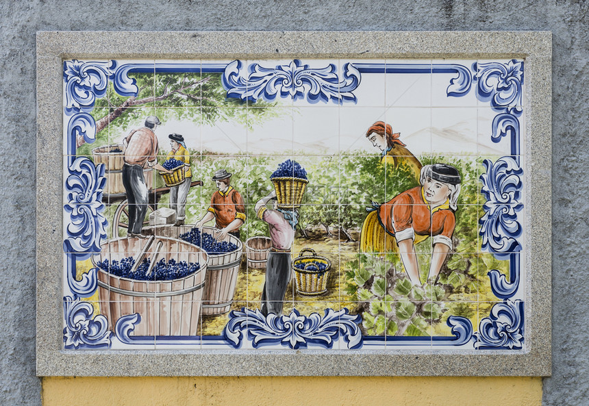 瓷砖描绘陶制品在杜罗谷地陶有著名的世界大树出Wine港在葡萄牙北部由艺术家MoreiraAgueda生产图片