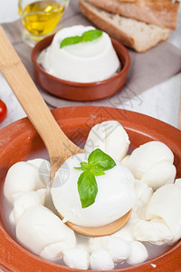 陶器瓷锅中的意大利新鲜奶制品红陶产图片