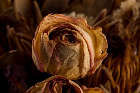 干花装饰玫瑰图片